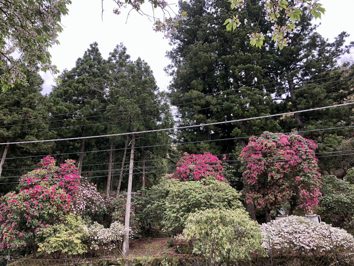 天城グリーンガーデン