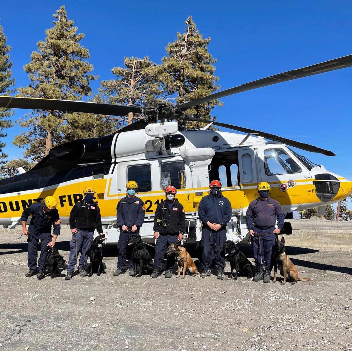 #SearchDogs on duty. #EXFIL #SAR #K9

📷: @lacountysearchdogs
