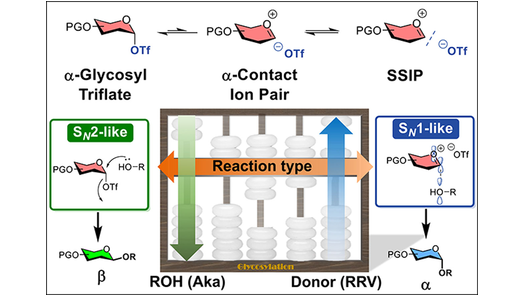 Automated Quantification of Hydroxyl Reactivities: Prediction of Glycosylation Reactions (Wang) onlinelibrary.wiley.com/doi/10.1002/an…