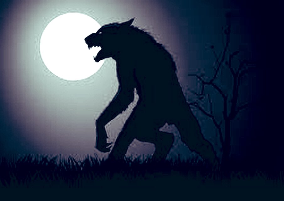 Hoy es noche de Imaginario por <a href="/vivifm897/">VIVÍ FM</a> Desde las 22hs repasamos historias de Lobizones junto a Mario Delgado Aparain y Nestor Ganduglia