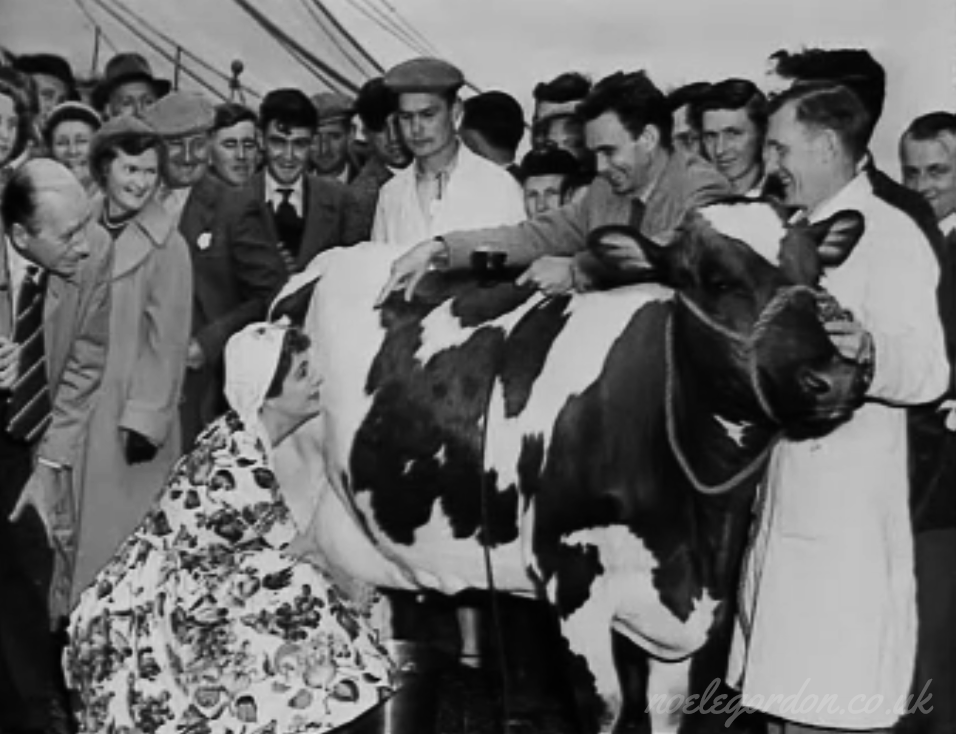 TheNoeleGordon's tweet photo. Reg Watson meets an old cow... you can make your own jokes... #Lunchbox #Milkmaid #ShrewsburyFlowerShow #NoeleGordon #RegWatson https://t.co/biofLGTJ2T