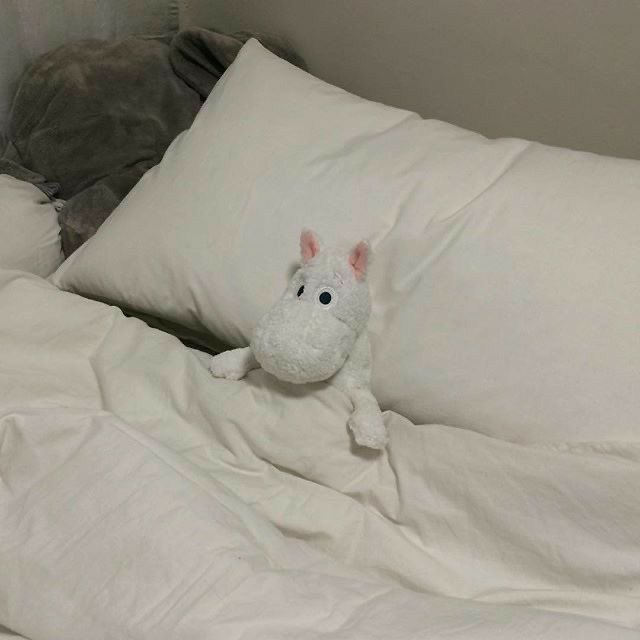 ⁎ ᱸ🧂 𝗉𝗎𝖿𝖿𝗒 、💬