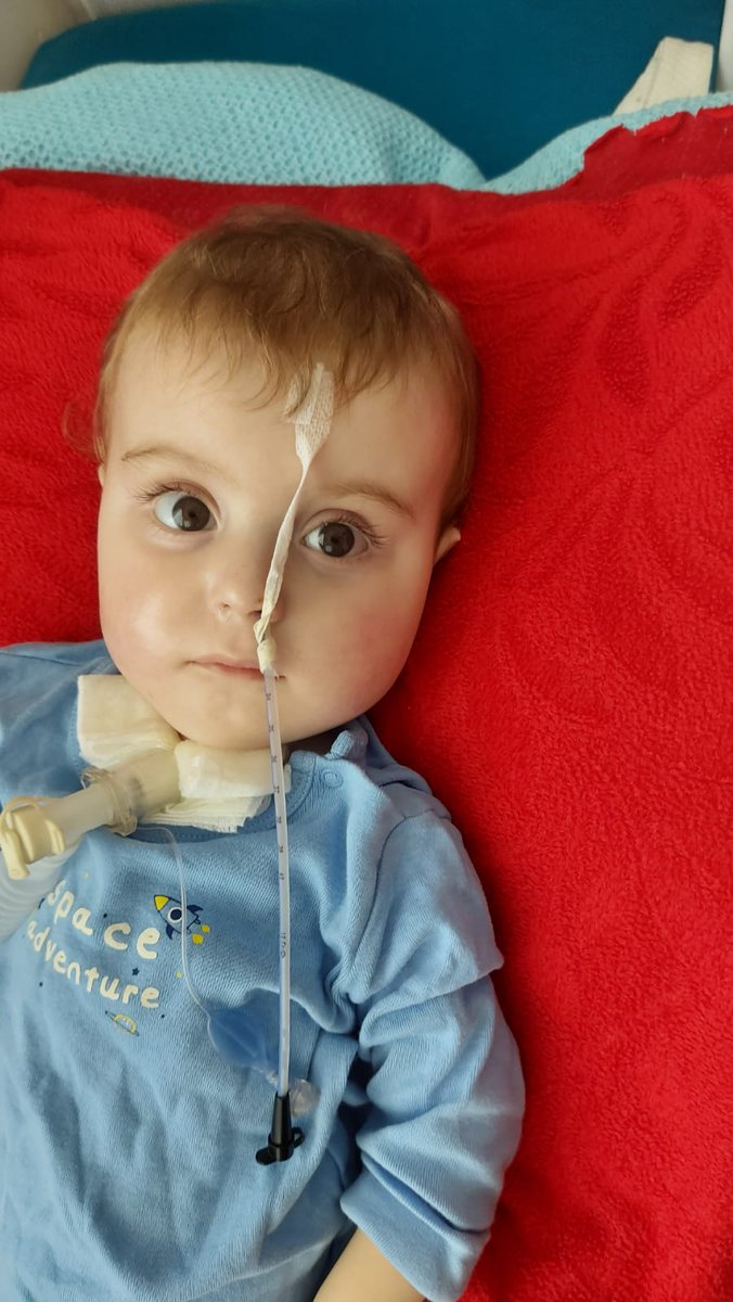 Zerya Zerya Twitter Zerya Zerya Twitter