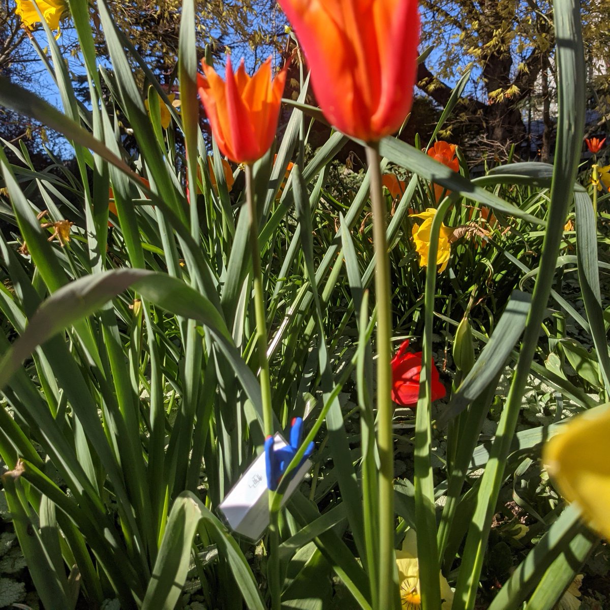 A little green-thumbed love for this Earth Day.