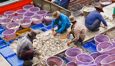 HTLegalCenter's tweet photo. The FISH Standard for Crew will fail to detect labor abuse in global #supplychains and should not be taken up by retailers, says Seafood Working Group. Now is the time for #workerdriven, transparent and accountable models of monitoring &amp; remediation.
READ: https://t.co/rlhXGZnKbT https://t.co/aw6q8gnHX2