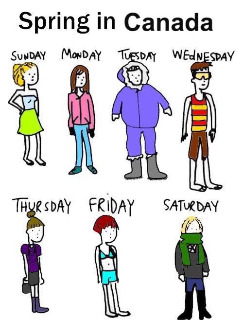 lmcauley11's tweet image. Here we go again #spring #canadaspring. ☀️❄️❄️😳