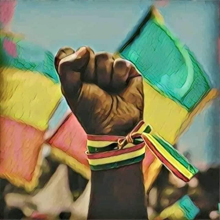 Daniel Solomon (@dansolget) on Twitter photo 