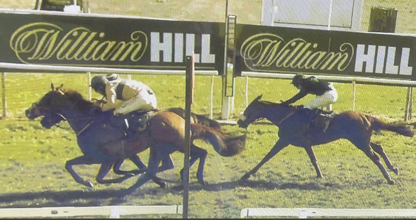 It’s been a great season for Golden Emblem owners. Since going handicapping here form figures read: 1,2,1,5,3. Thanks to <a href="/Neil_Mulholland/">Neil Mulholland</a> his team, <a href="/samtwiston/">Sam Twiston-Davies</a> &amp; <a href="/harryreed8/">Harry Reed</a>