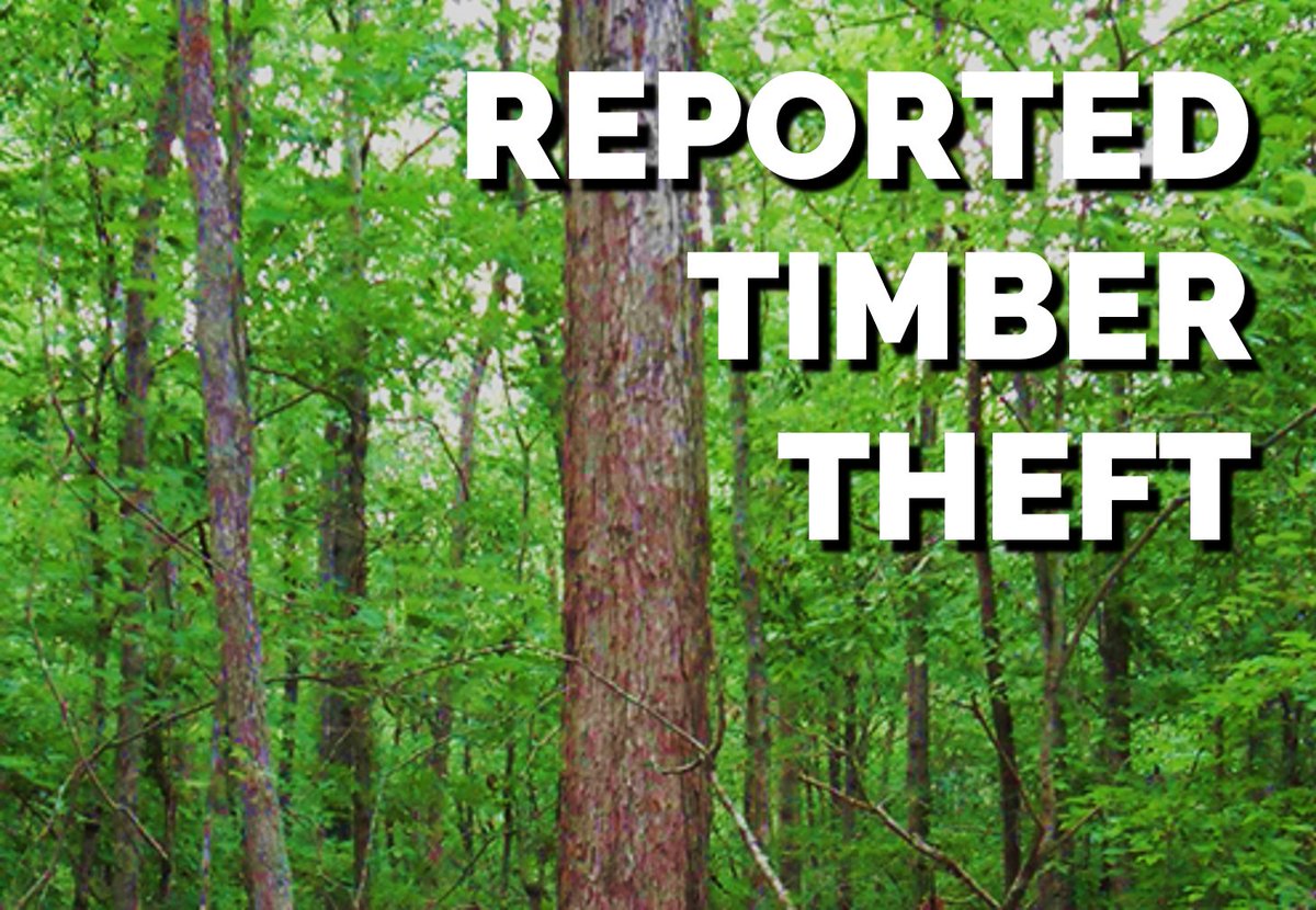 TFC_TrainingEd's tweet photo. Rising #timber prices and the value of individual species have enticed thieves to steal timber across #Tennessee. @TNAgriculture urges #forest #landowners to be aware of timber #theft and provides steps owners can take to #protect their assets. https://t.co/N4sU3FGFKB https://t.co/nF5JK65GFL