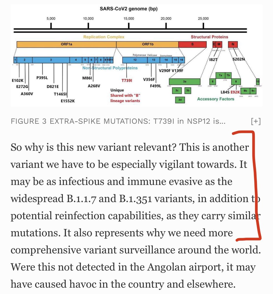 TANZANIA VARIANT—One of the most preeminent Harvard virology professors is trying to warn—Tanzanian variant branched off Wuhan 1.0 strain but acquired all the bad mutations of  #B117 &  #B1351 independently—convergent evolution. By  @WmHaseltine.  #COVID19  https://www.forbes.com/sites/williamhaseltine/2021/04/15/new-tanzanian-variant-detected-in-angola-from-an-entirely-new-branch-of-sars-cov-2/