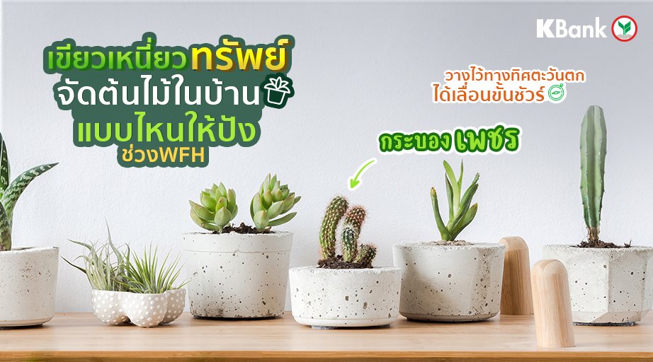 KBank Live tweet media