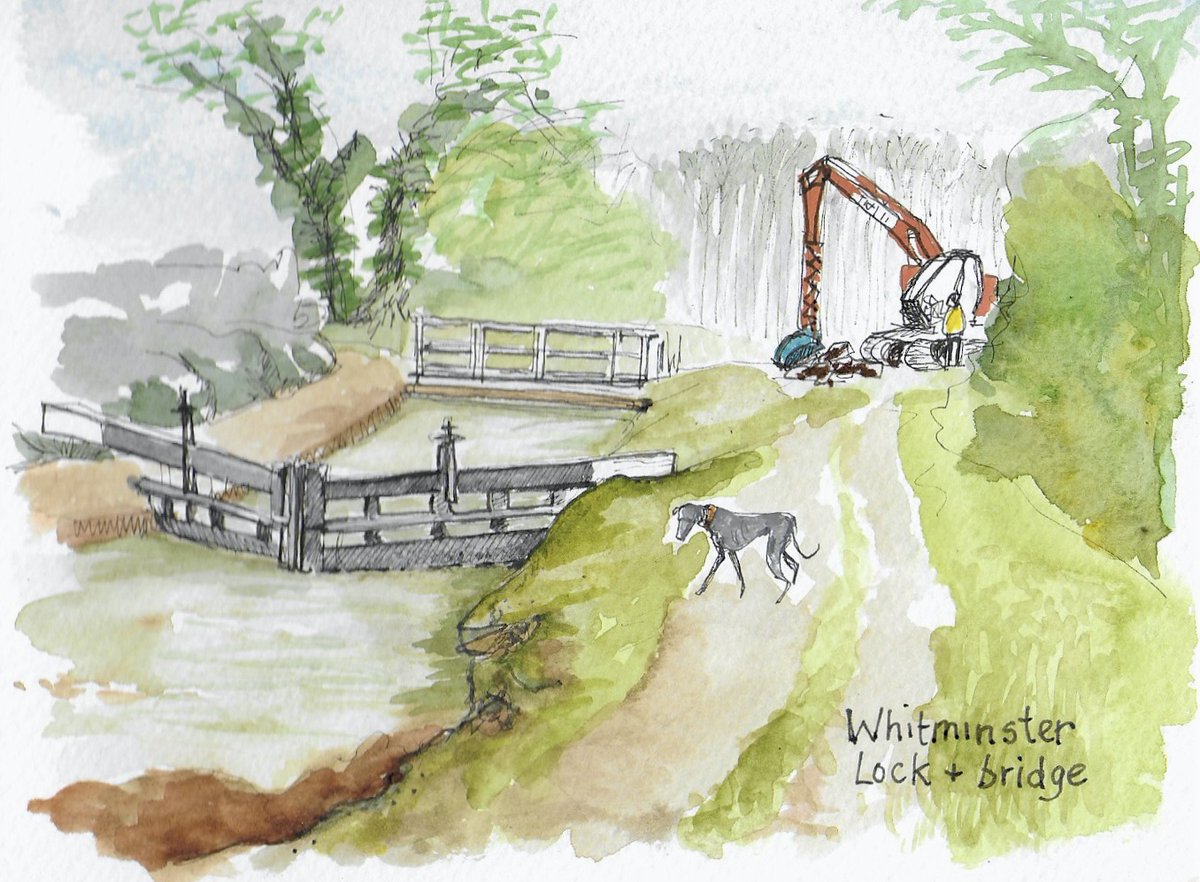 Work is beginning on Whitminster lock . The bridge will be replaced by a swing bridge, but the dog is happy with it just as it is! <a href="/CotswoldCanals/">Cotswold Canals Trust</a> <a href="/canalPictures/">Cotswold Canals in Pictures</a> <a href="/DiscoverStroud/">Discover Stroud</a> @Isacarand @janstonehouse