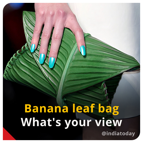 Coconut Leaf Bags at Rs 2000/piece | Handicraft Handbag in Malappuram | ID:  15763584512
