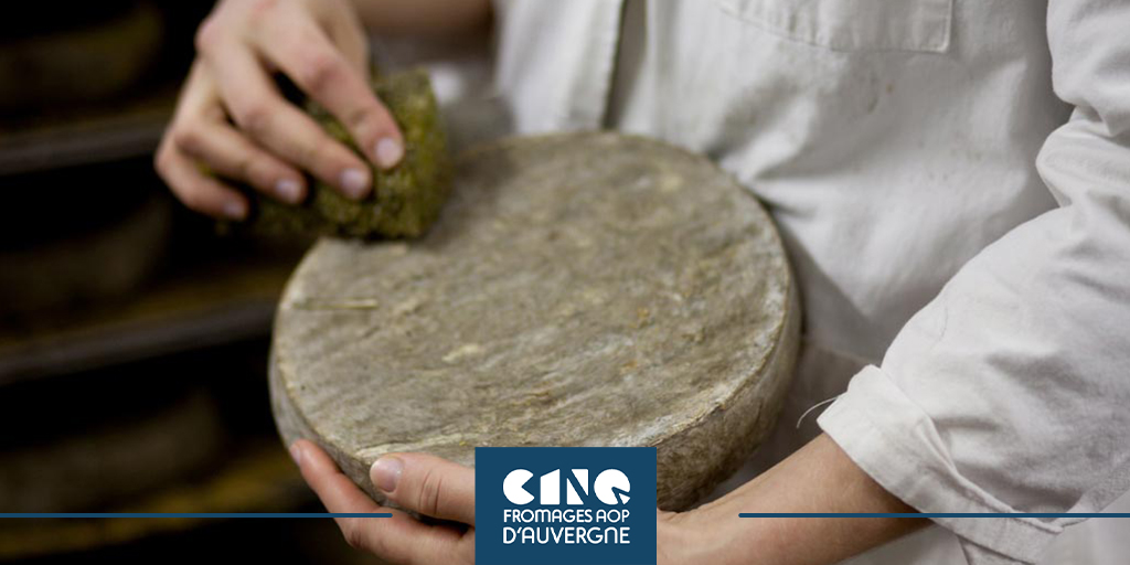 FromagesAOPAuv's tweet photo. C'est dans l'affinage que réside le secret de la saveur incomparable et de l'onctuosité du Saint-Nectaire. 

Pendant minimum 28 jours le maître affineur apporte des soins quotidiens au fromage pour développer sa croûte fleurie et ses arômes 😋

#saintnectaire #auvergne #mangeraop https://t.co/r49F8aSUH7