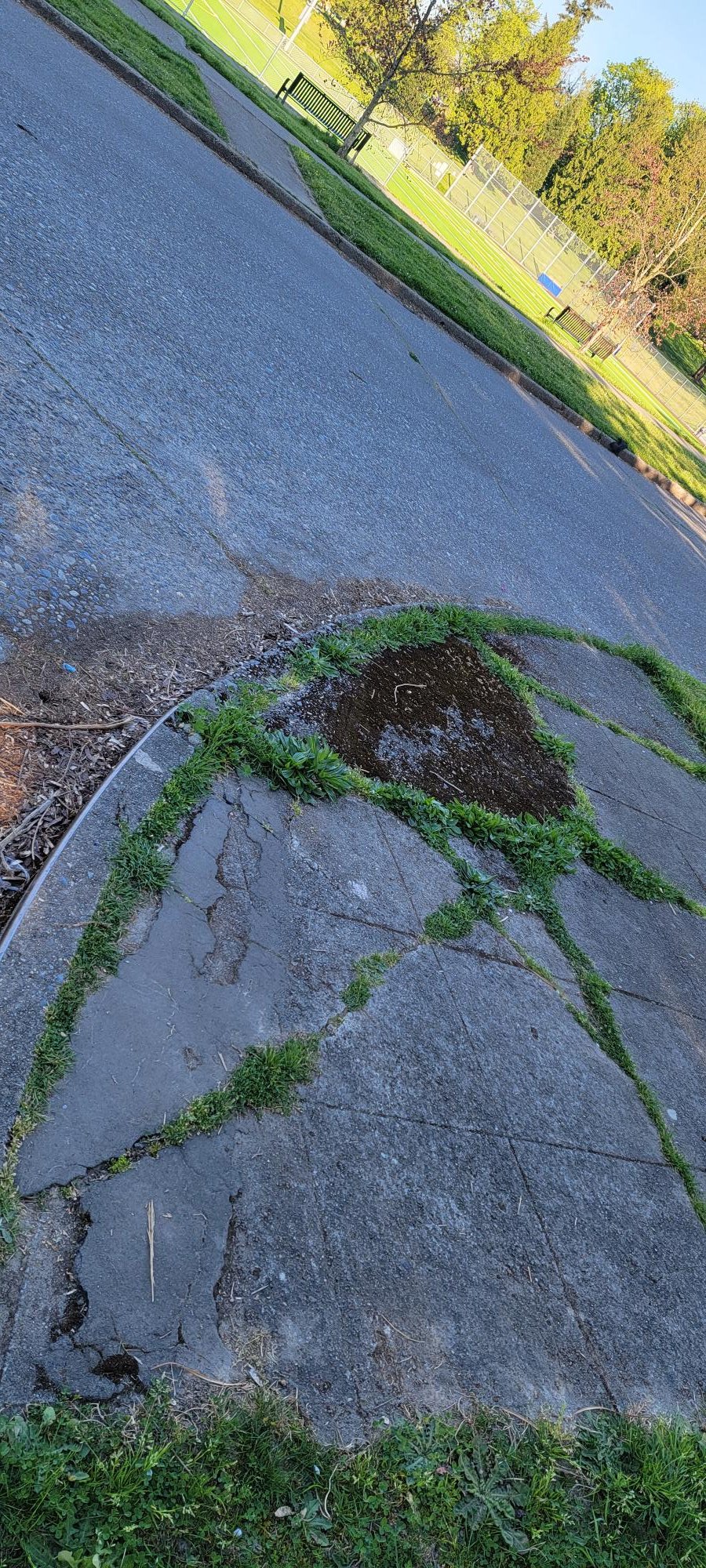 Disability Mobility Initiative on Twitter "It's inexcusable in a city