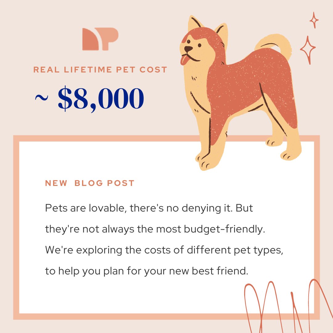 NetPayAdvance's tweet image. Dogs cost how much?? Here’s 6 more-affordable pets you might consider instead. buff.ly/3wUtALU #uniquepets #petsoffacebook #fishtank #plantmom