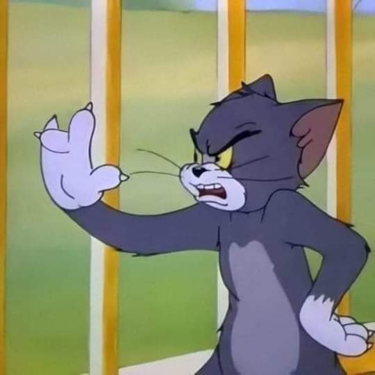 Kay_Dayer's tweet photo. La Super league bdat w salate
W la fibre @Maroc_Telecom mazal matsawbate (2 jours a.k.a 48h).
#superleague #7alazoune #Maroc_Telecom #m9ouleb #man3awedch #ChiL3ibafihaMaroc #GhirHreb #Galek_la_fibre 🥺 https://t.co/OGVNExTAI0