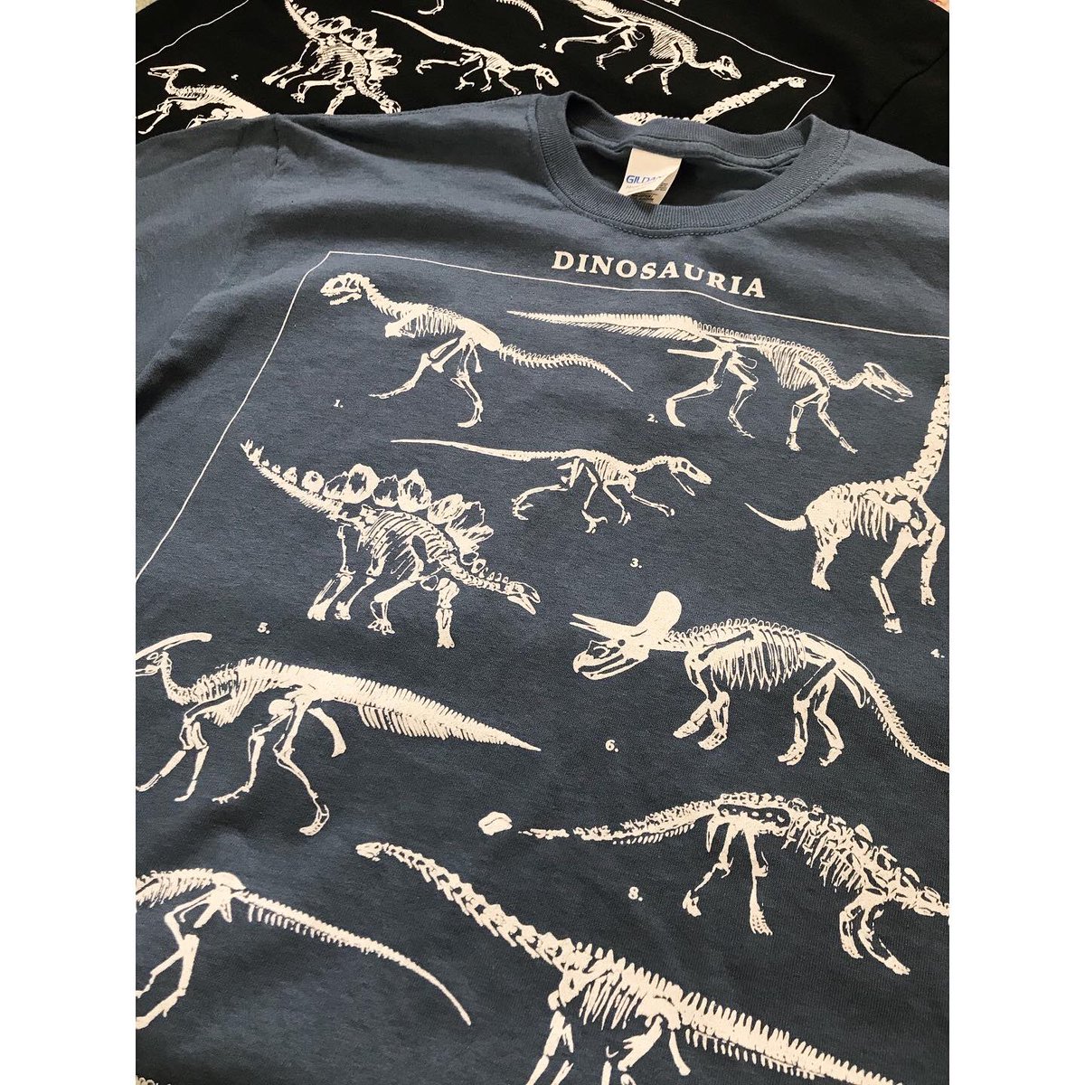 Dinosauria shirts are now live! etsy.com/uk/shop/Palaeo…
