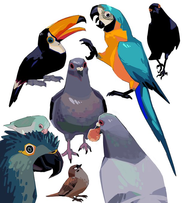 「beak」 illustration images(Popular｜RT&Fav:50)