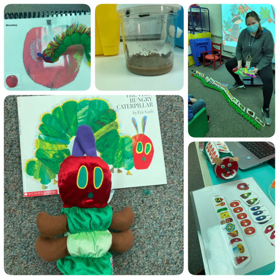 Lindsay Boten tweet media