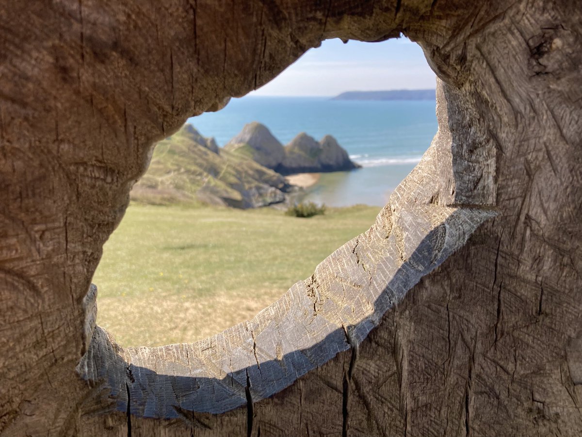 1CarolineBerry's tweet image. 21.04.21 Way up high #ThreeCliffs  #GloriousGower