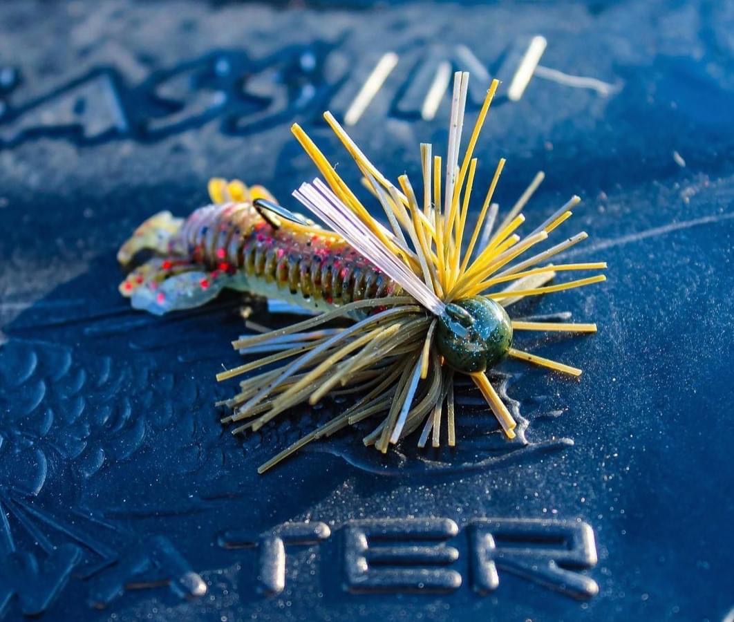 Mystery Tackle Box on X: The 10,000 Fish Sukoshi Bug and the