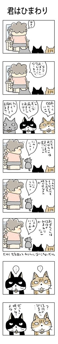 君はひまわり
#こんなん描いてます
#自作マンガ #漫画 #猫まんが 
#4コママンガ #NEKO3 