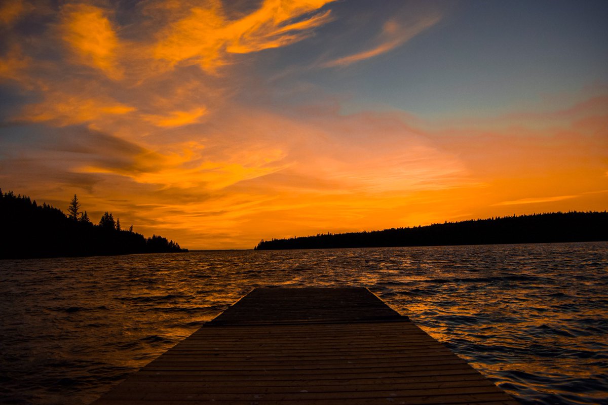 Dylan Bertholet tweet media