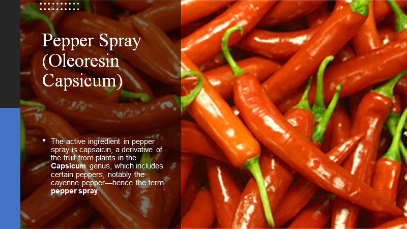 Pepper spray, or oleoresin capsicum, is a so-called lachrymatory (inflammatory) agent that causes irritation to the eyes and skin. #CRJ201  #MoraineValley  #CRJ201UoF