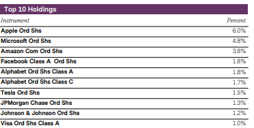 TOP 10 holdings: The top 10 holdings of this fund are dominated by technology companies.