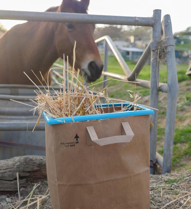 TheHelloBag's tweet image. The Hello Bag frame can be used all around the house and gardens to help use all the paper bags saved from the grocery stores.
•
•

#noplastic #hellobag #recycle #limitlessuses #sustainability #ecofriendly #thinkgreen #nosingleuseplastic #reducewaste #ourplanet #carefornature