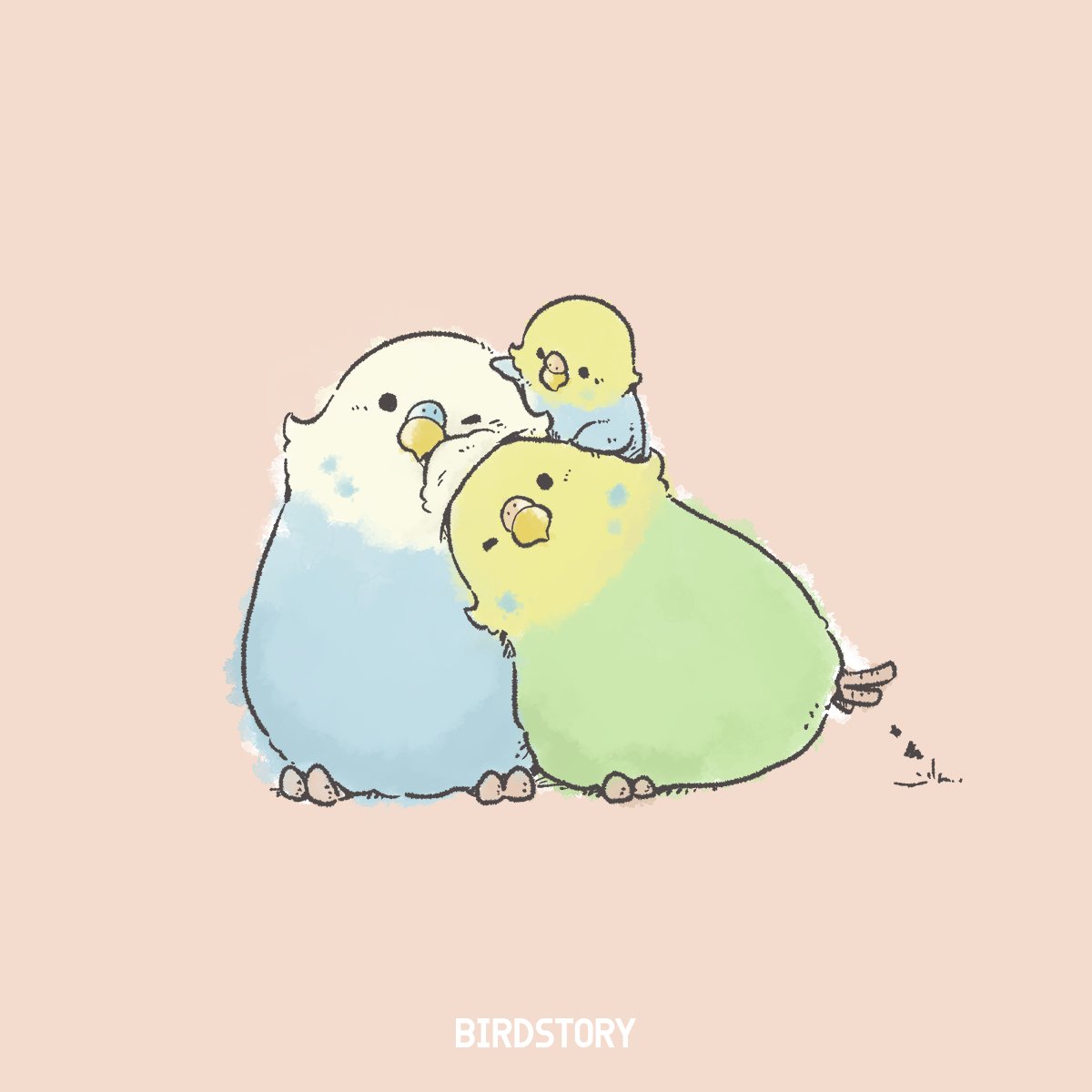 Twitter 上的 Birdstory おはようございます 本日は4月22日 よいふうふの語呂合わせから よい夫婦の日とのことです Birdstory よい夫婦の日 セキセイインコ T Co Wh4z3vz3ij Twitter