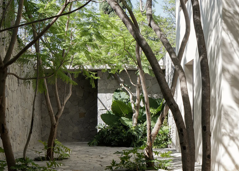 C3 arquitectos builds private residence with verdant protected patios in mexico
designboom.com/architecture/c…