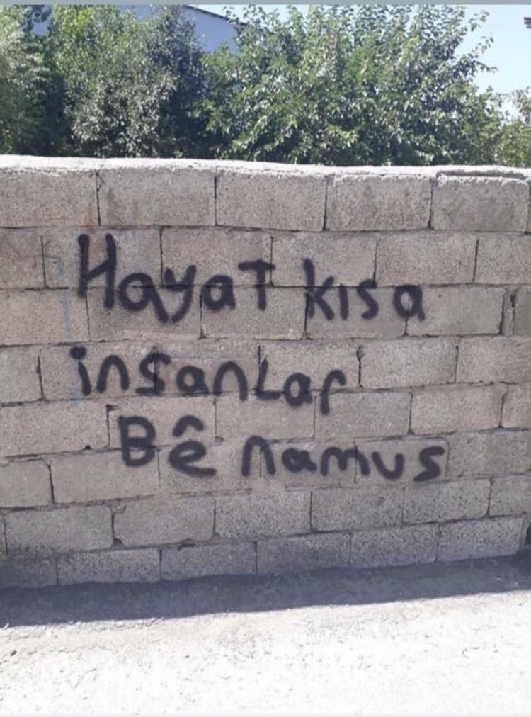 ozkanuzunca's tweet photo. https://t.co/FqA87OHo1f