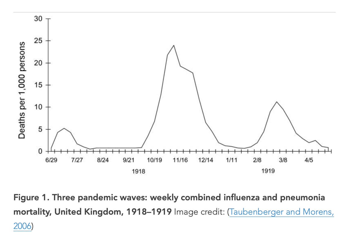 Three waves:1. Mild: spring of 1918 and did not spread worldwide2. Second: killed ⅔ of those people in about 14 weeks from late September through December 19183. A Third wave hit in February 1919 and lasted through the spring of 1919