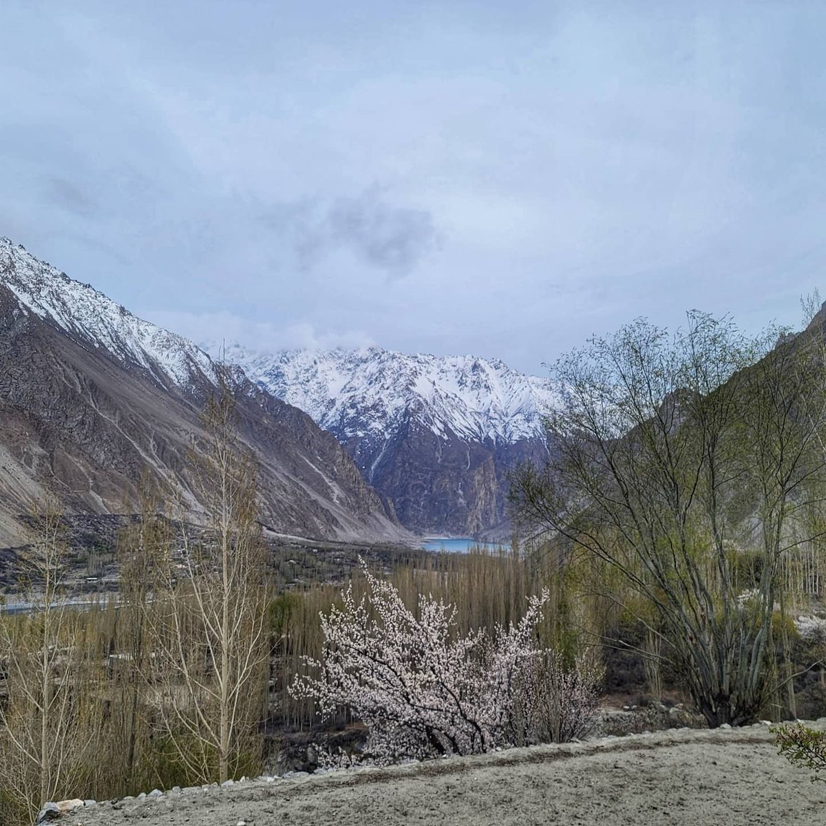 basitkhan1011's tweet photo. Kamaris Pakistan
(KP)
#Fortheloveofmountains #ABClicks #Hunxa #Gojal
@Z_Sewag @deputy_hunza @Iam_MaheenK https://t.co/dNk6JHcgMB