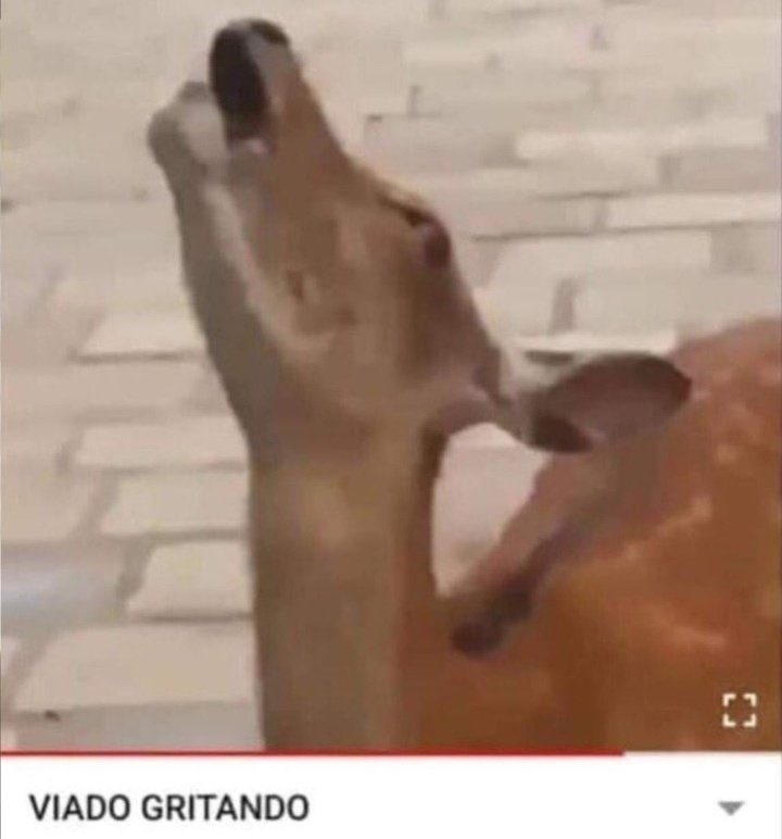 milla; (@joyismisoft) on Twitter photo 