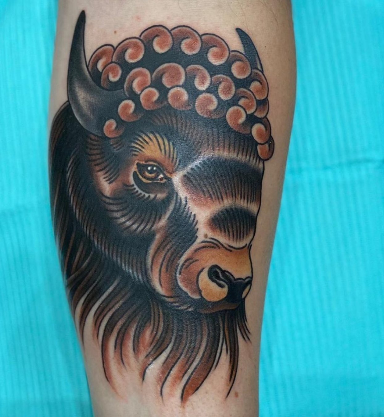 Revolt Tattoos on Twitter Jason used the bold style of American  traditional to create this buffalo tattoo Artist Jason Location Fashion  Show Book your appointment at httpstco7GU80jDCSP  httpstcoaMhvQ6kZHt  Twitter