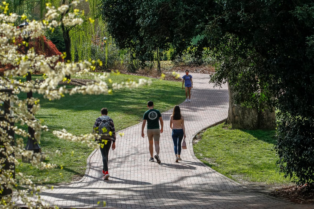 williamandmary's tweet photo. W&M becomes a kaleidoscope of colorful blooms this time of year. Take a minute to appreciate the beauty of campus and we invite you to share your favorite #wmInSpring photos for all to enjoy. https://t.co/1IdJ031WUV