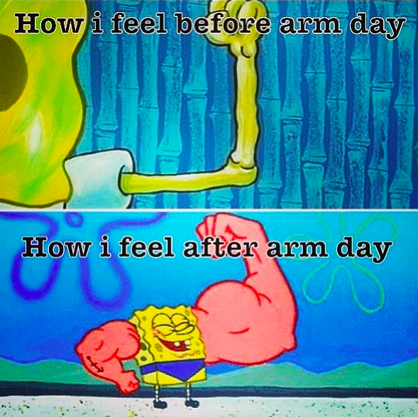 FitnesswithJake's tweet photo. Arm Day > Any Other Day 

#FitnesswithJake #ArmDay #Fitness #spongebob https://t.co/mq1osQCzIy