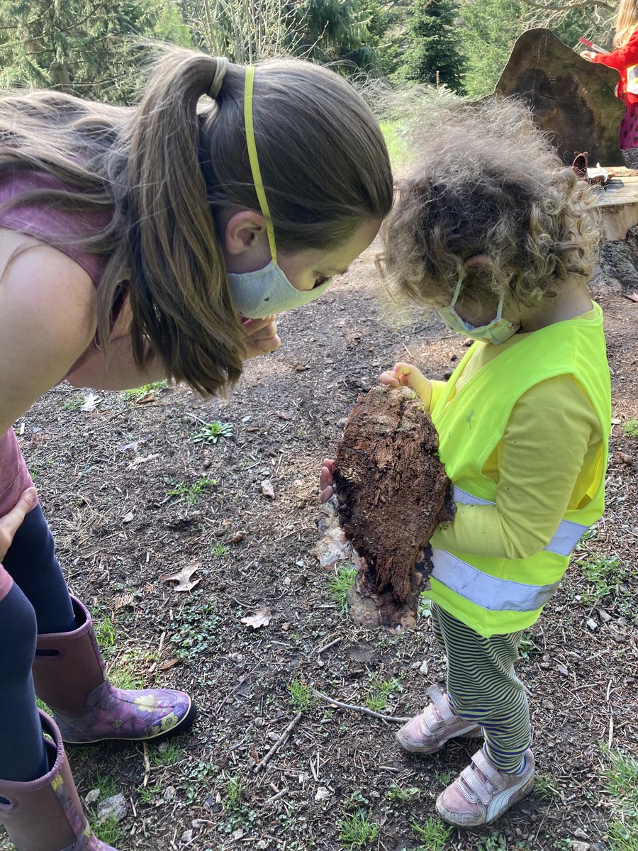 BostonBopn's tweet photo. BOPN is growing!  🌳🌿🌼

We are hiring for part-time and full-time positions at our Arboretum and Wellesley locations.  Learn more at https://t.co/P19Nz84sLZ

#ForestKindergarten #NaturePreschool #OutdoorLearning #Boston #Outdoor #Preschool #BOPN https://t.co/qK9ZsG50Sf