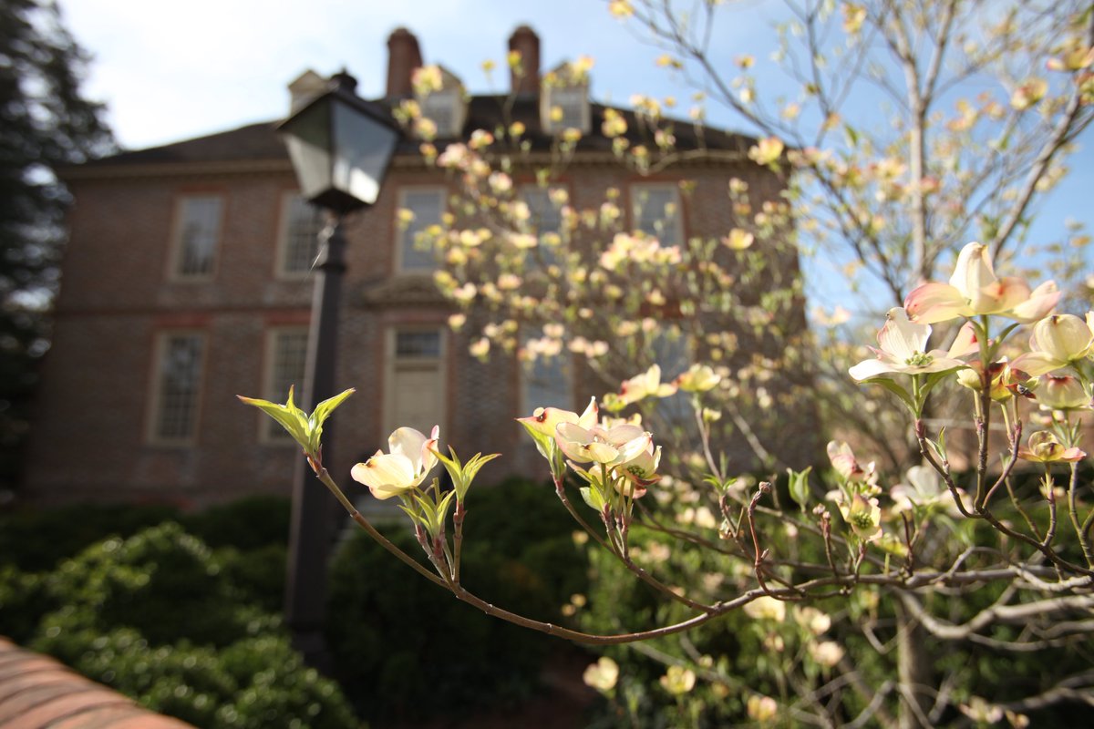 williamandmary's tweet photo. W&M becomes a kaleidoscope of colorful blooms this time of year. Take a minute to appreciate the beauty of campus and we invite you to share your favorite #wmInSpring photos for all to enjoy. https://t.co/1IdJ031WUV