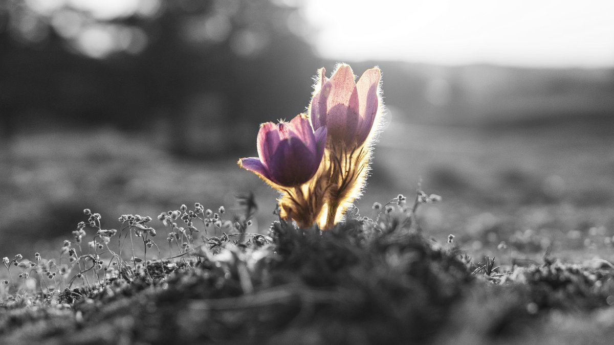 SM_Law's tweet photo. The past year has brought unprecedented challenges which have impacted us in ways that were unimaginable. This Administrative Professionals Day, we thank our support staff for their strength &amp; resilience, as well as their ongoing hard work &amp; dedication to the Firm. https://t.co/kb9Y8mIIY5
