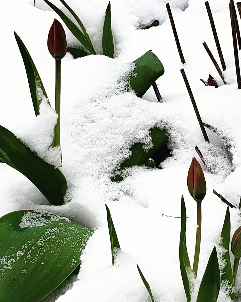 Perth Museum tweet media