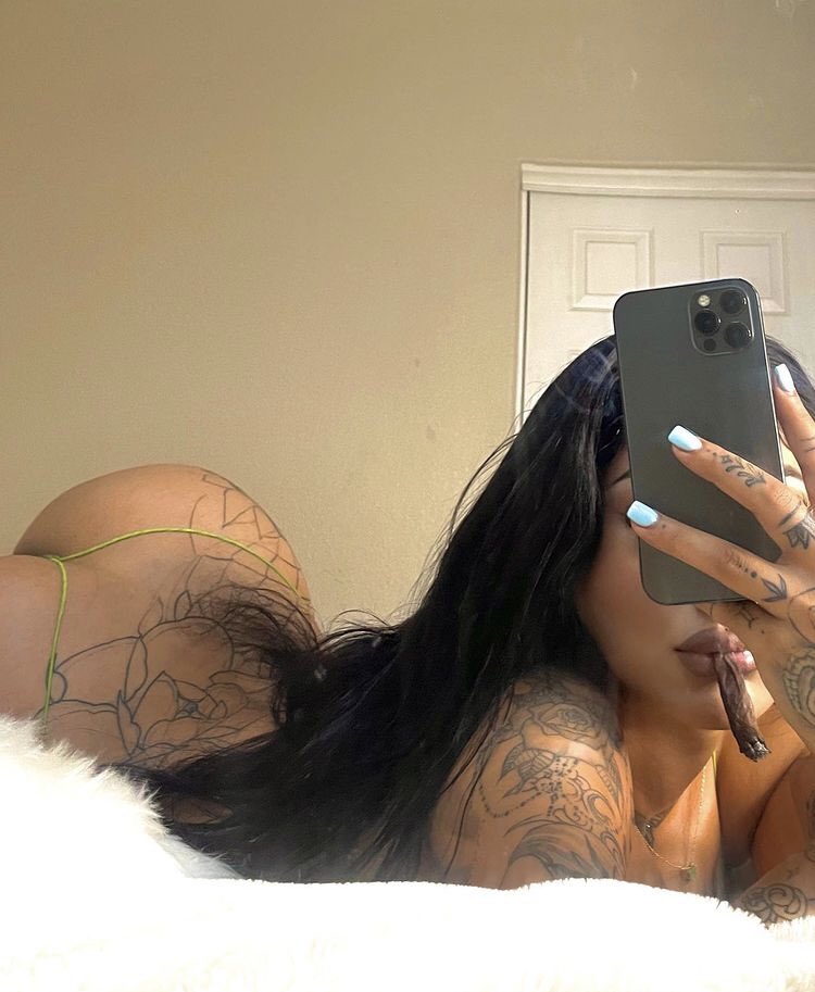 🐍💚💶