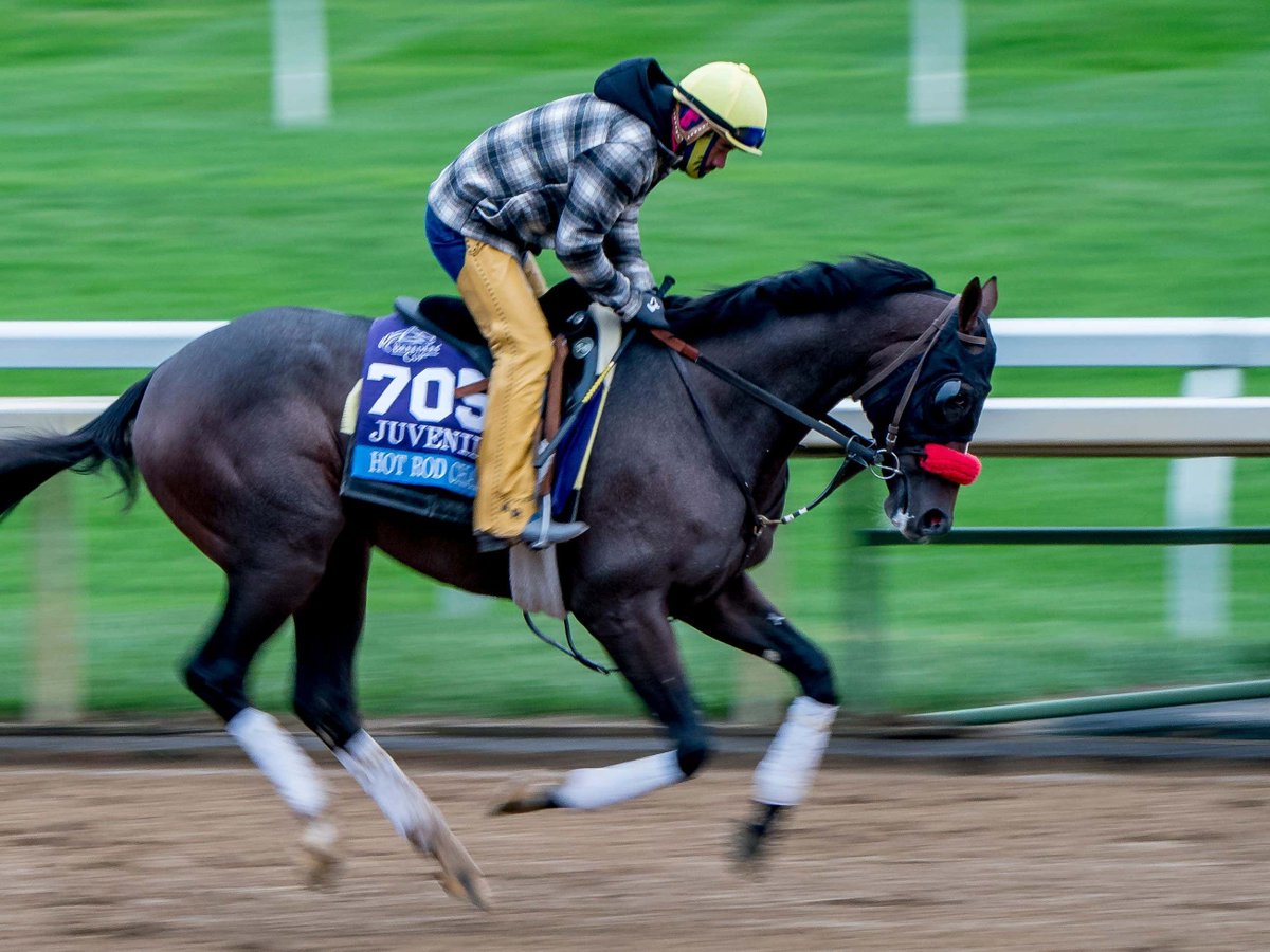 barstoolsports's tweet image. It's Impossible Not To Cheer For Derby Contender Hot Rod Charlie When You Find Out About His Owners And Background Story barstoolsports.com/blog/3360067/i…