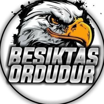 BJKOrdudur's tweet photo. #YeniProfilResmi https://t.co/zpTf8tpf1G