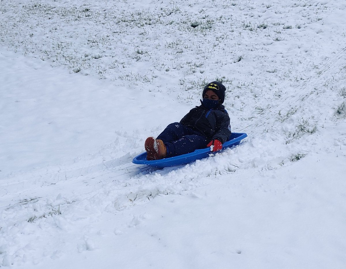harrishillpcsd's tweet photo. Mrs. Lorenzo’s and Miss Cerio’s classes went sledding as part of PE class. Talk about making lemonade from lemons! #HHhappy @harrishillpe https://t.co/L5ZzGopl7K