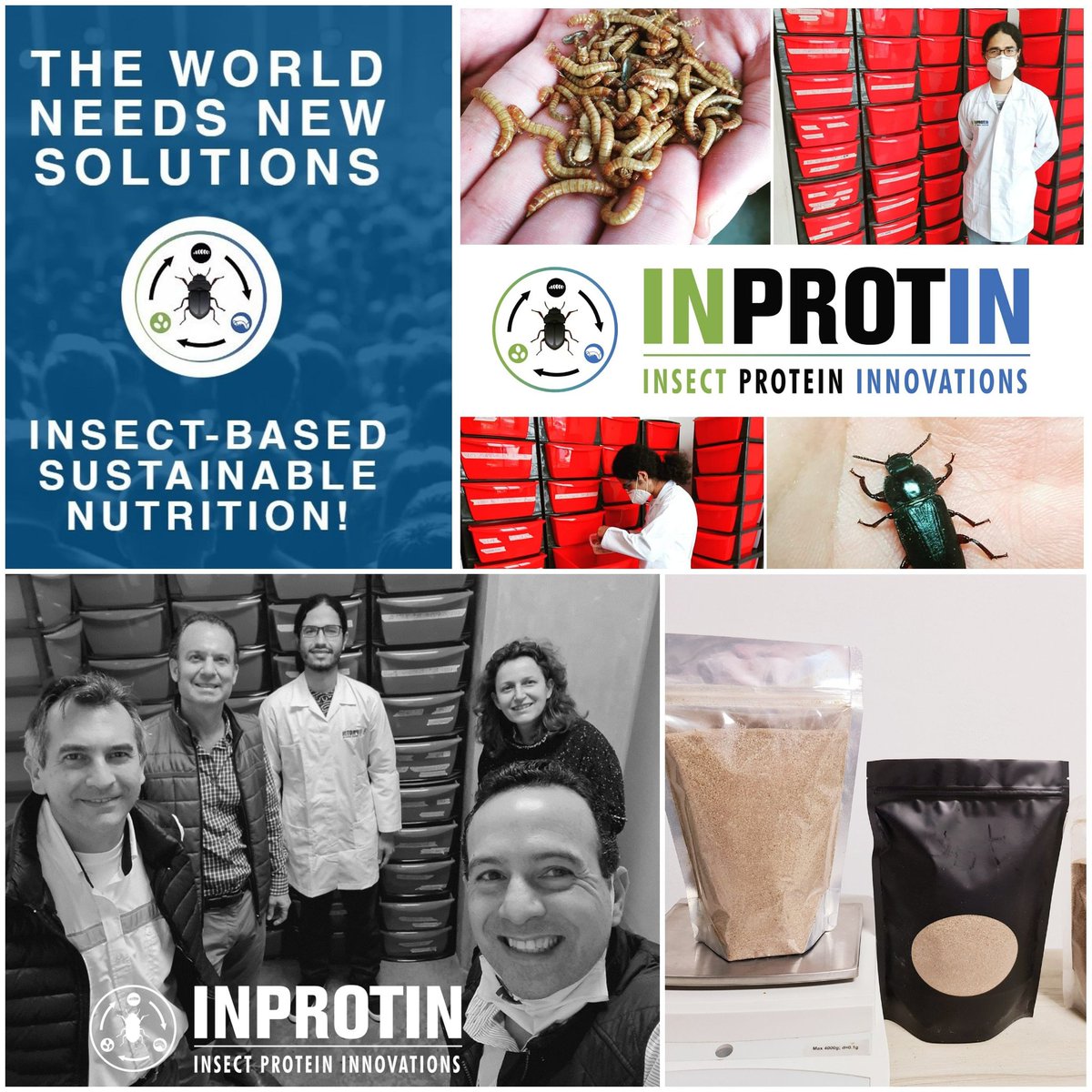 inprotin's tweet photo. The world needs more innovative & sustainable nutrition solutions!
El mundo necesita mas soluciones inovadoras y sostenibles de nutrición!
#inprotin #insects #nutrition #solutions https://t.co/DFxzPp9eyO
