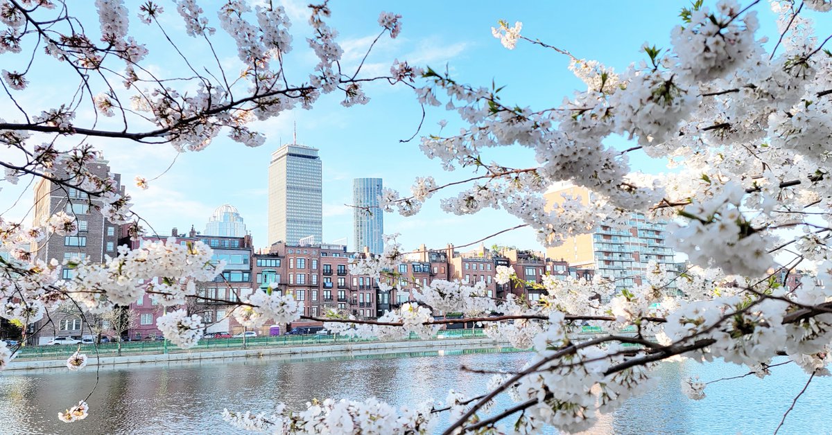 OnlyInBOS's tweet image. Please describe your idea of a perfect date.

That's a tough one. 

I'd have to say April 25. 

Because it's not too hot, not too cold, all you need is a light jacket.

❤